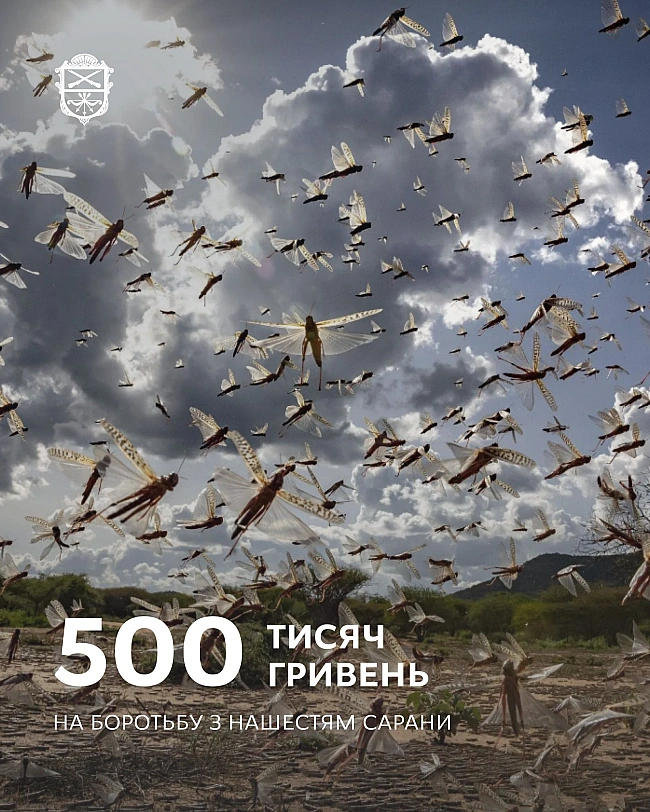 we.ua - Нашестя сарани дійшло до Запоріжжя: Міськрада вперше виділила гроші на програму боротьби зі шкідником