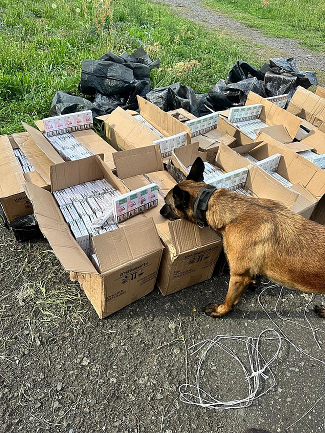 we.ua - 24 ящики з цигарками: на Закарпатті прикордонники виявили партію безакцизного товару