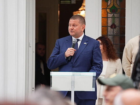Залужний чудово адаптувався в роль дипломата, - експертка Ключковська