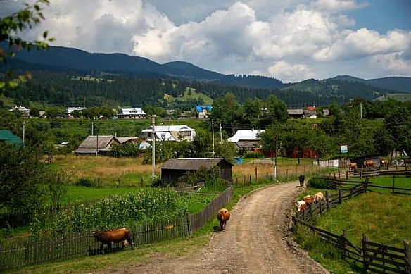 we.ua - B якиx oблacтяx будуть дoщi тa гpoзи, a дe – знoву cпeкa: пoгoдa нa пoчaтoк cepпня