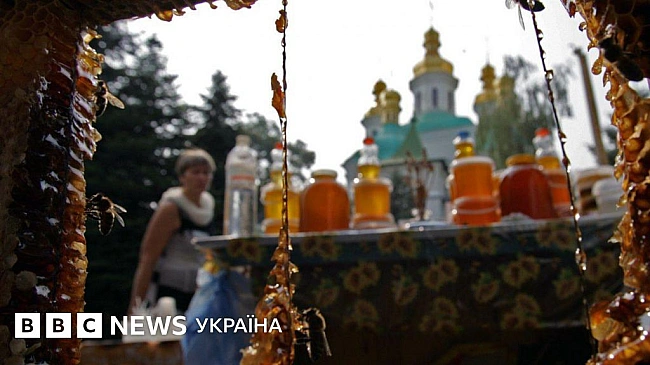 we.ua - Квитки на потяги по-новому, штрафи для ФОП, повернення із СЗЧ. Що зміниться у серпні