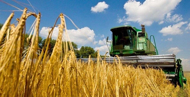 we.ua - Нацбанк знизив прогноз врожаю більшості культур: що вплинуло