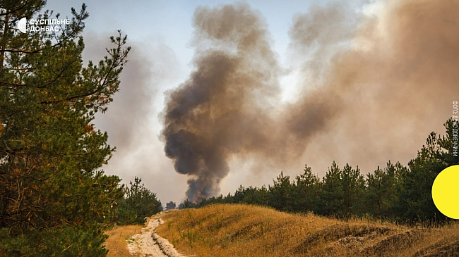 we.ua - Лісову пожежу поряд з окуповованим Сіверськодонецьком гасять козаки та студенти — ОВА