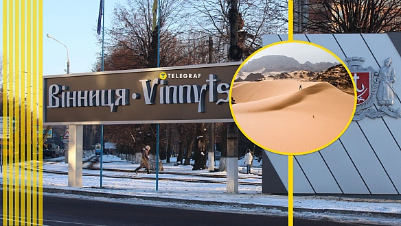 we.ua - Міг прилетіти з Африки чи Азії. Вінницю сполохав дивний гість (відео)