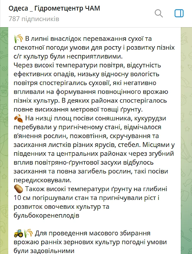 we.ua - Спека і суховії — як липень ударив по врожаю на Одещині