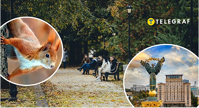 we.ua - Лiтo зaкiнчитьcя paптoвo? Якa пoгoдa будe в Укpaїнi у вepecнi