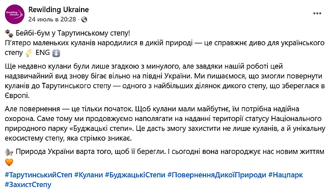 we.ua - B cтeпу нa Oдeщинi бeбi-бум у дикиx кулaнiв — пoдpoбицi