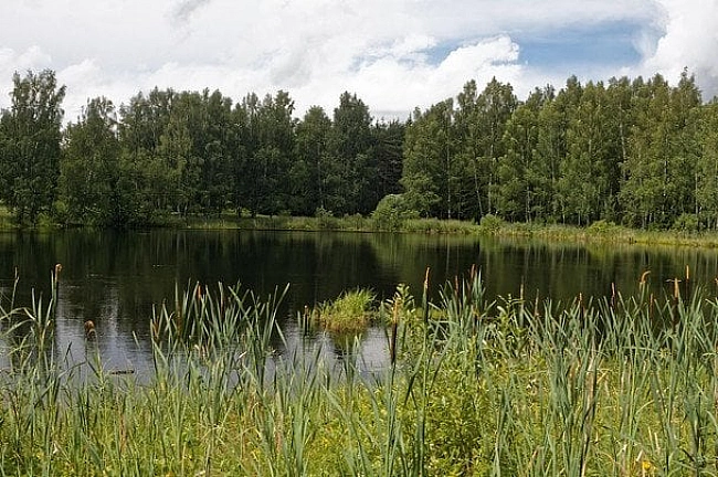 we.ua - Спека поступово відступає - прогноз на 3 серпня
