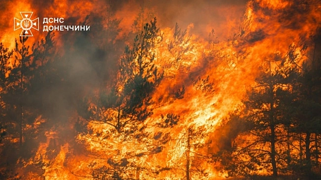 we.ua - ДСНС: на Донеччині рятувальники ліквідували масштабну лісову пожежу, яка вирувала майже тиждень