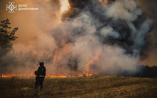 we.ua - На Донеччині ліквідували масштабну лісову пожежу, спричинену російськими обстрілами