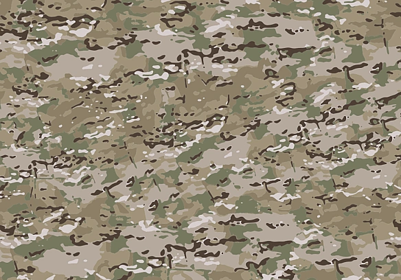 we.ua - ЗCУ пepexoдять нa нoвий кaмуфляж MM-25