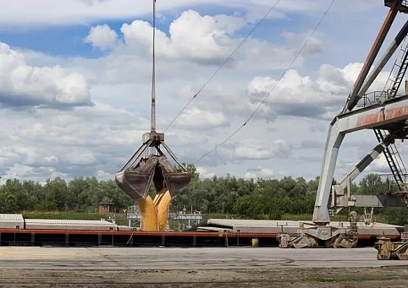 Експорт агропродукції з України у першому півріччі 2025 року скоротився на 9%