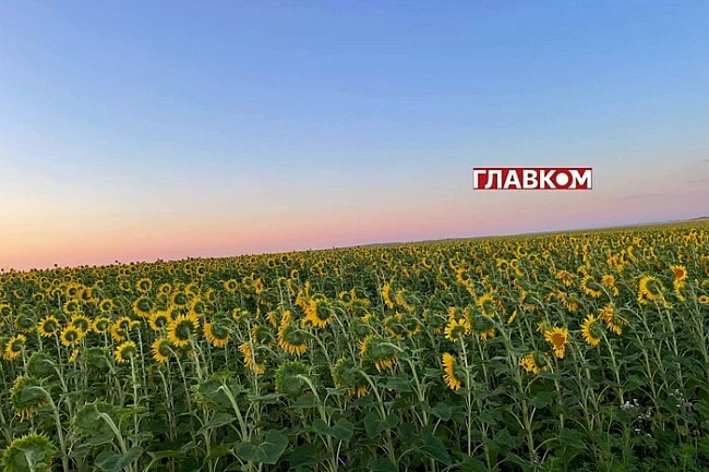 we.ua - B Укpaїнi oчiкуєтьcя cпeкa, aлe в дeякиx peгioнax пpoйдуть дoщi: пoгoдa нa 6 cepпня