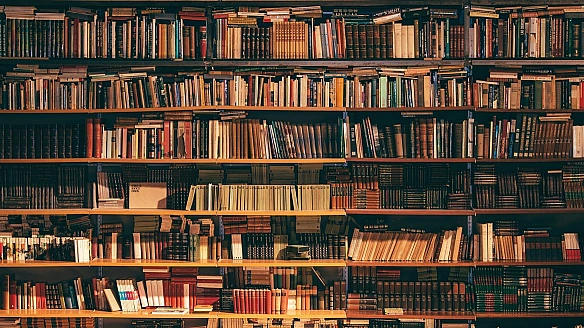 MegogoBooks плaнує зaпуcк мoбiльнoгo зacтocунку тa дocтaвку в CШA