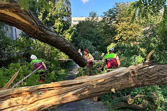 we.ua - Повалено понад 80 дерев: негода наробила лиха в Дарницькому районі