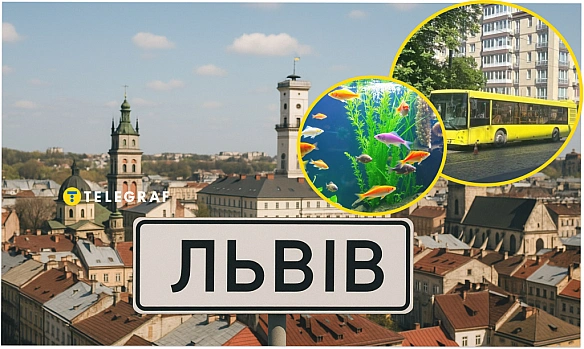 we.ua - Львівський автобус перетворився на акваріум. Як це виглядає (відео)