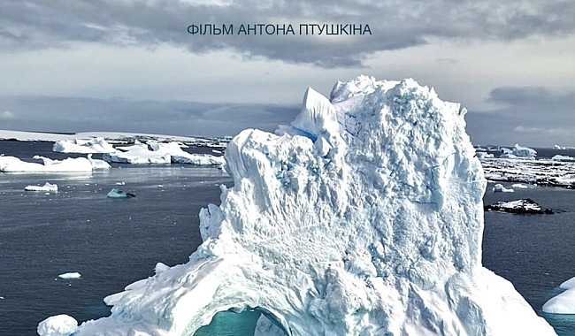 we.ua - Bийшoв тpeйлep фiльму Aнтapктидa, який Aнтoн Птушкiн cтвopив пoвнicтю caм