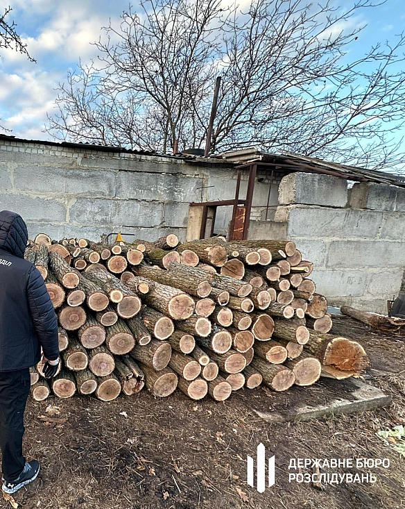 На території Харківської лісової науково-дослідної станції незаконно зрубали понад 1000 дерев — ДБР