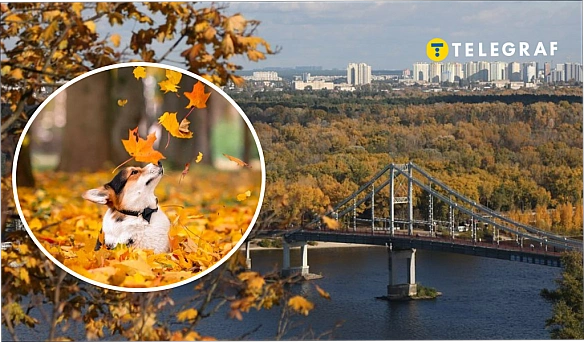 we.ua - Перші заморозки та страшні зливи? Коли восени в Україні зіпсується погода