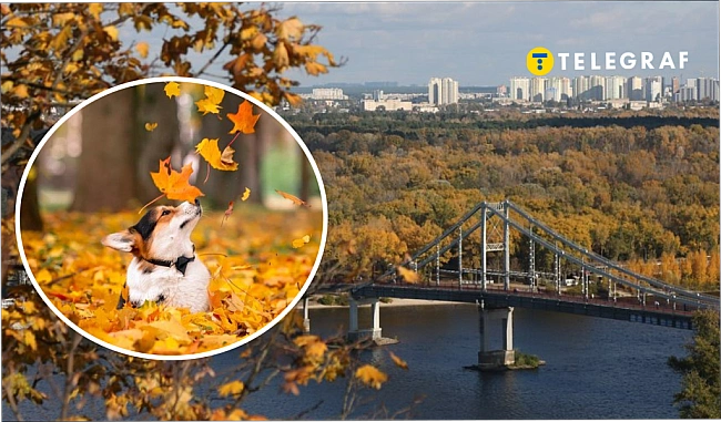 we.ua - Перші заморозки та страшні зливи? Коли восени в Україні зіпсується погода