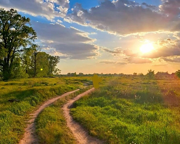 we.ua - Плани не здійсняться: чого уникати в день Еміліана