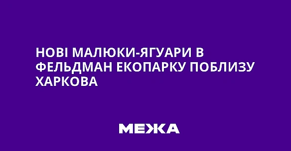 Нові малюки-ягуари в Фельдман Екопарку поблизу Харкова