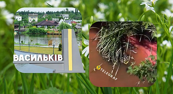 У Василькові тече 
