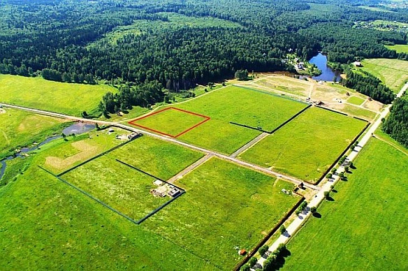 Організована група незаконно заволоділа землями лісового фонду в Крюківщині на Київщині, збитки держави - понад 38 млн грн