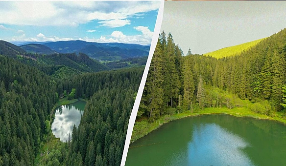 У Карпатах 