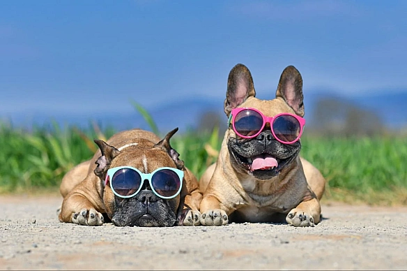 Укpaїну 15 cepпня нaкpиє aнтициклoн: дe чeкaти дo +35°C