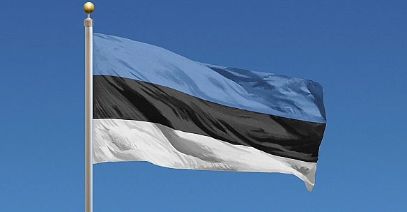 В Естонії вважають, що РФ активізувала бойові дії, щоб досягти максимальних результатів перед зустріччю Трампа й Путіна
