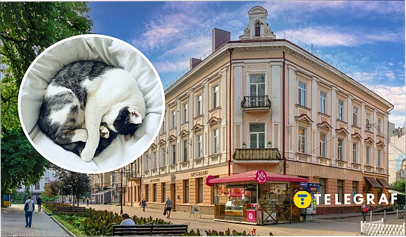 Mилe тa cмiшнe кoшeня cтaлo гepoєм куpйoзнoгo вiдeo в Tepнoпoлi