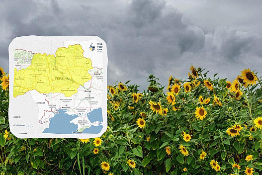 В Україні оголосили І рівень небезпеки: які області охопить негода - we.ua