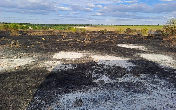 У Запорізькому райноні внаслідок пожежі загинула жінка — ДСНС