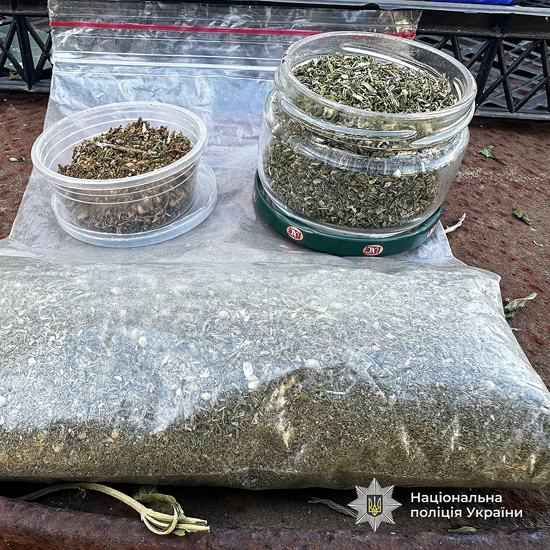 Заробітки по півмільйона — в Одесі затримали нарковолонтерів