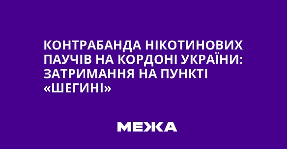 Контрабанда нікотинових паучів на кордоні України: затримання на пункті «Шегині»