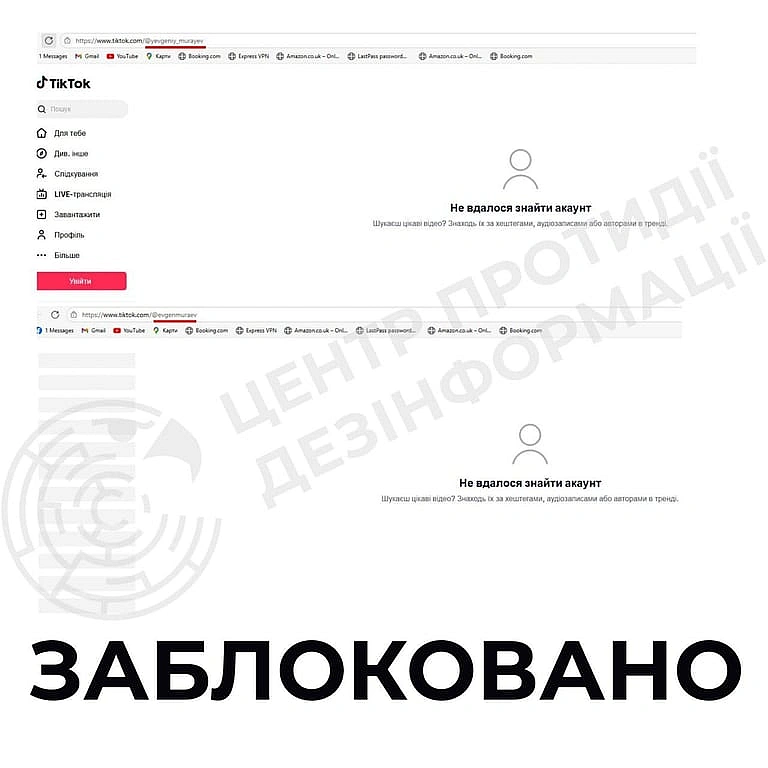 TikTok заблокував акаунти проросійського політика Мураєва