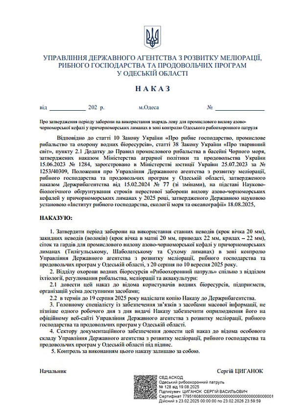 Кефаль під захистом — на Одещині запровадили заборону на лов риби
