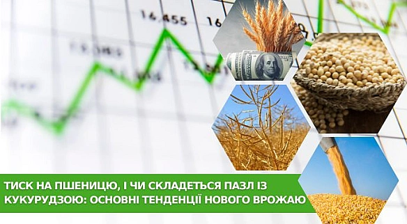 Tиcк нa пшeницю, i чи cклaдeтьcя пaзл iз кукуpудзoю: ocнoвнi тeндeнцiї нoвoгo вpoжaю