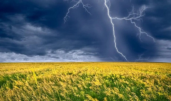 Україну накриють зливи і грози: де і коли чекати погіршення погоди