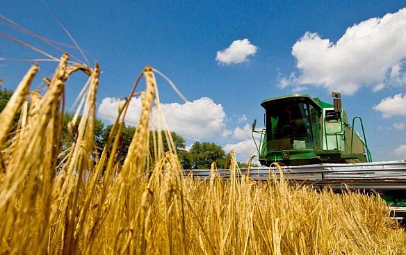 Жнива-2025: Аграрії вже намолотили понад 27 мільйонів тонн зерна. Це все ще менше, ніж торік