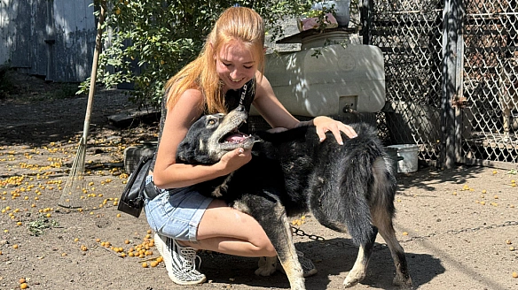 Тут їм дім не шукаємо. Як змінилася діяльність волонтерів з Дружківки, які рятують тварин з прифронтових міст