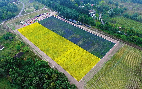 День Державного прапора: маловідомі факти та рекорди синьо-жовтого стяга