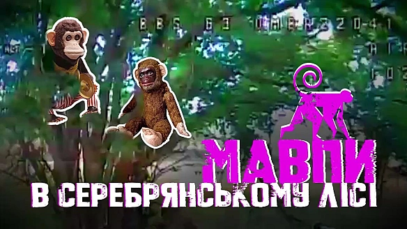 У російських солдатів нова тактика: вони залазять на дерева, аби сховатися від українських дронів. ВIДЕО