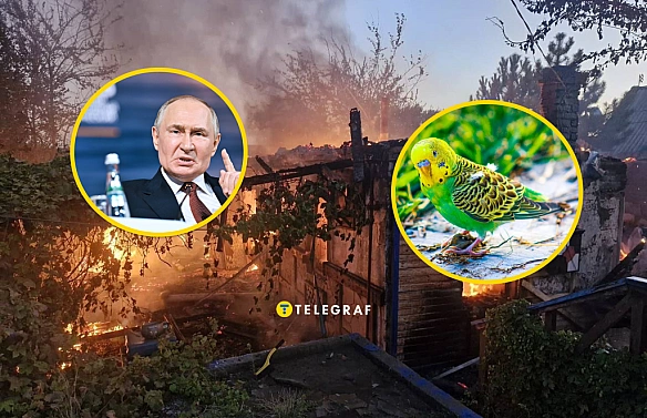 Папуга з Дніпра видав базу про Путіна та розвеселив українців після важкої ночі (відео)