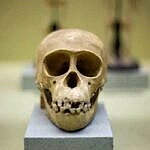 У Ефіопії знайдено зуби найдавніших Homo