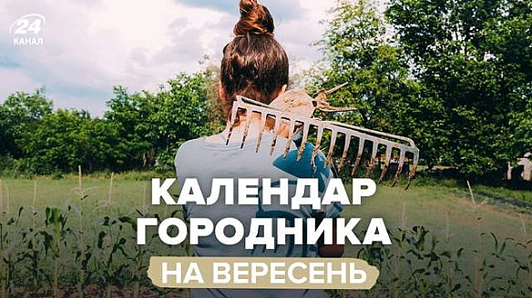Місячний календар городника на вересень: що робити в перший місяць осені