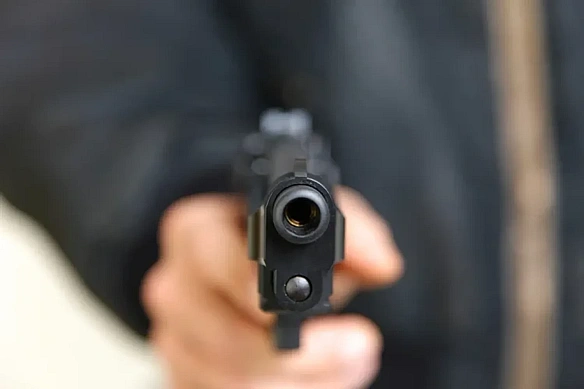 На Київщині чоловік вистрелив у собаку, тварина загинула: поліція розпочала перевірку