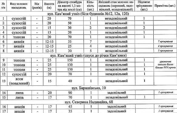 У Житомирі планують зрізати 50 дерев — рішення виконкому