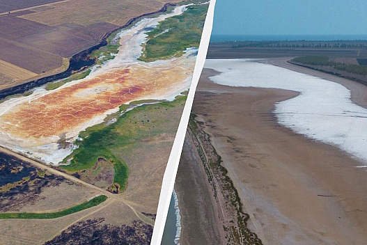 Замість води - сіль: на півдні Одещини зафіксовані наслідки розбалансування клімату - we.ua